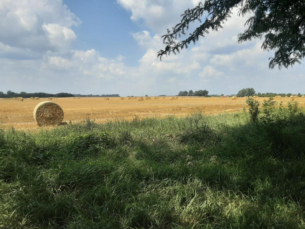 Herberg Tisza Tiszabábolna Εξωτερικό φωτογραφία