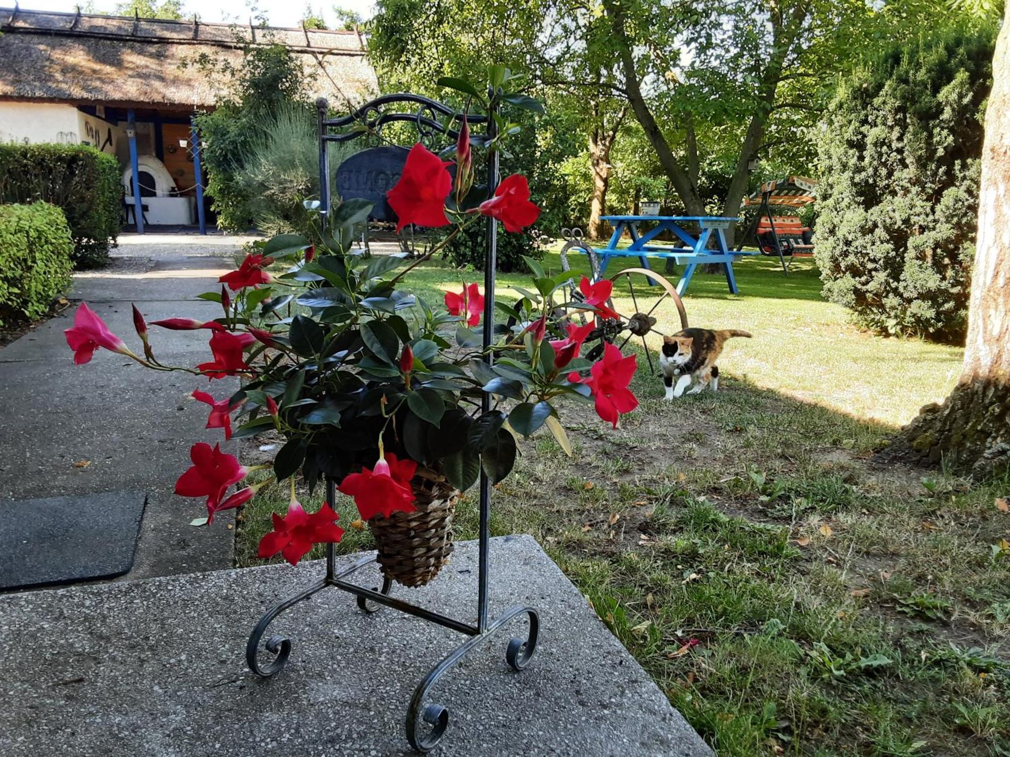 Herberg Tisza Tiszabábolna Εξωτερικό φωτογραφία