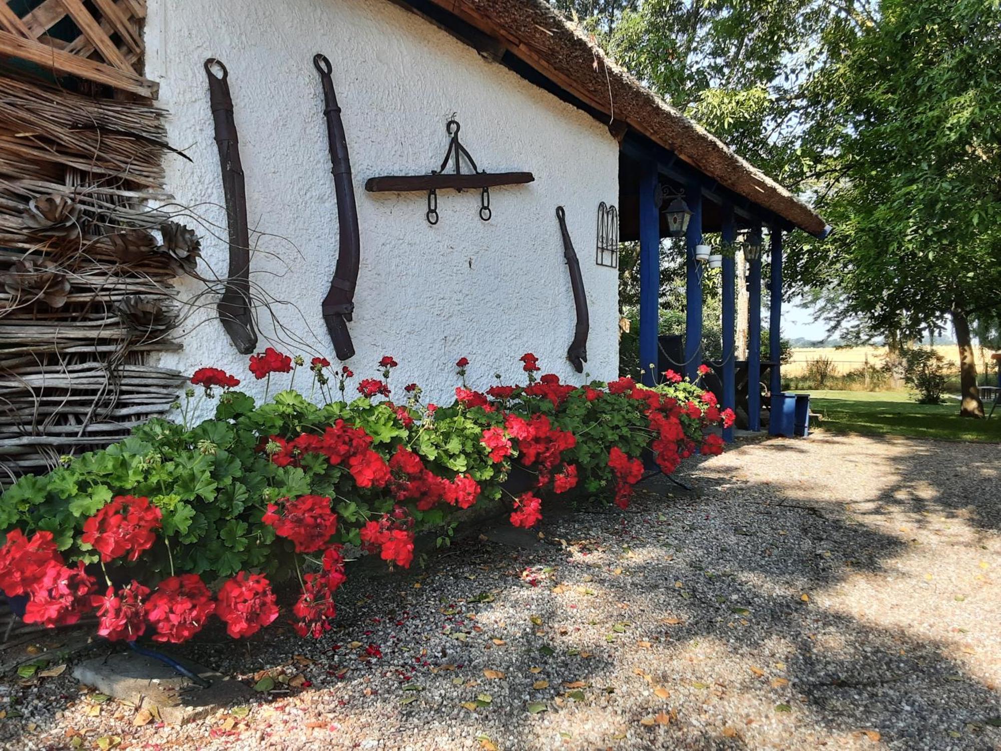 Herberg Tisza Tiszabábolna Εξωτερικό φωτογραφία